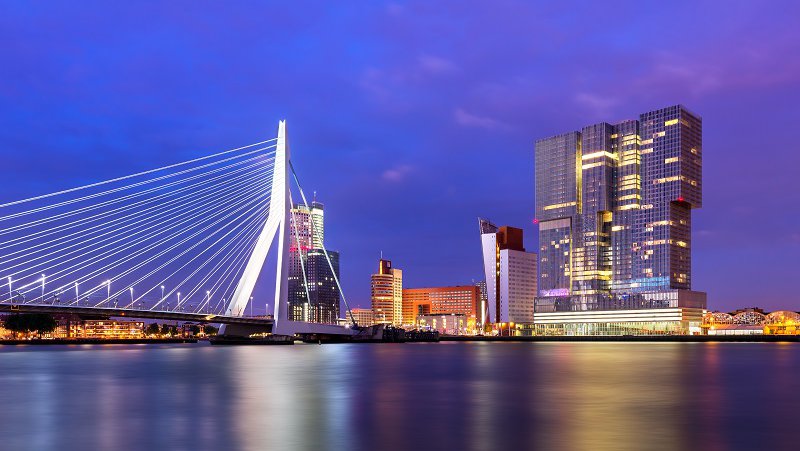 Rotterdam-Erasmusbrug-image-1.jpg